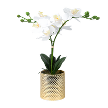 Load image into Gallery viewer, Artificial Orchid Flowers Potted in Ceramic Pot, White Faux Phalaenopsis Orchids