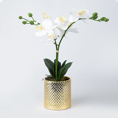 FREE GIFT | Artificial Orchid Flowers Potted in Ceramic Pot, White Faux Phalaenopsis Orchids