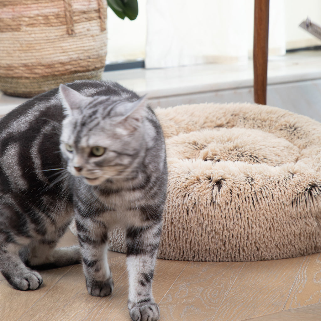 Cute Pet Nest Warm Soft Plush Cat Bed