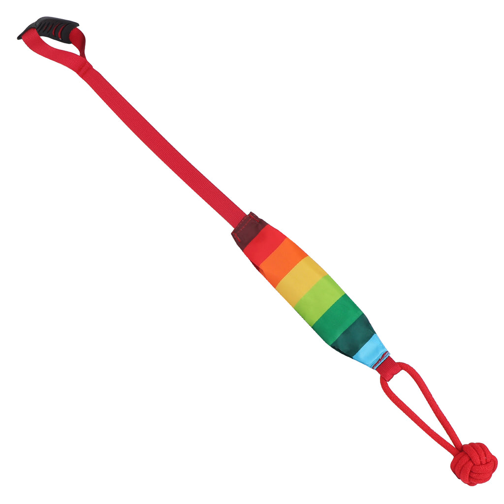 Pet Squeaky Toy