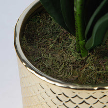 Load image into Gallery viewer, Artificial Orchid Flowers Potted in Ceramic Pot, White Faux Phalaenopsis Orchids