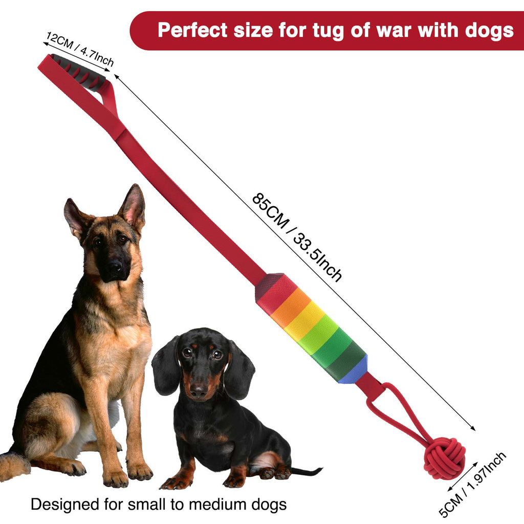 Pet Squeaky Toy