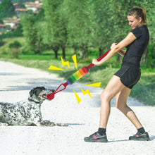 Load image into Gallery viewer, Pet Squeaky Toy