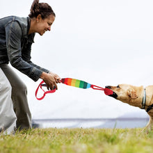 Load image into Gallery viewer, Pet Squeaky Toy