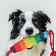 Load image into Gallery viewer, Pet Squeaky Toy