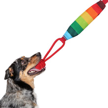 Load image into Gallery viewer, Pet Squeaky Toy