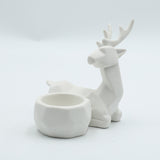 Candlesticks/Decorations-072